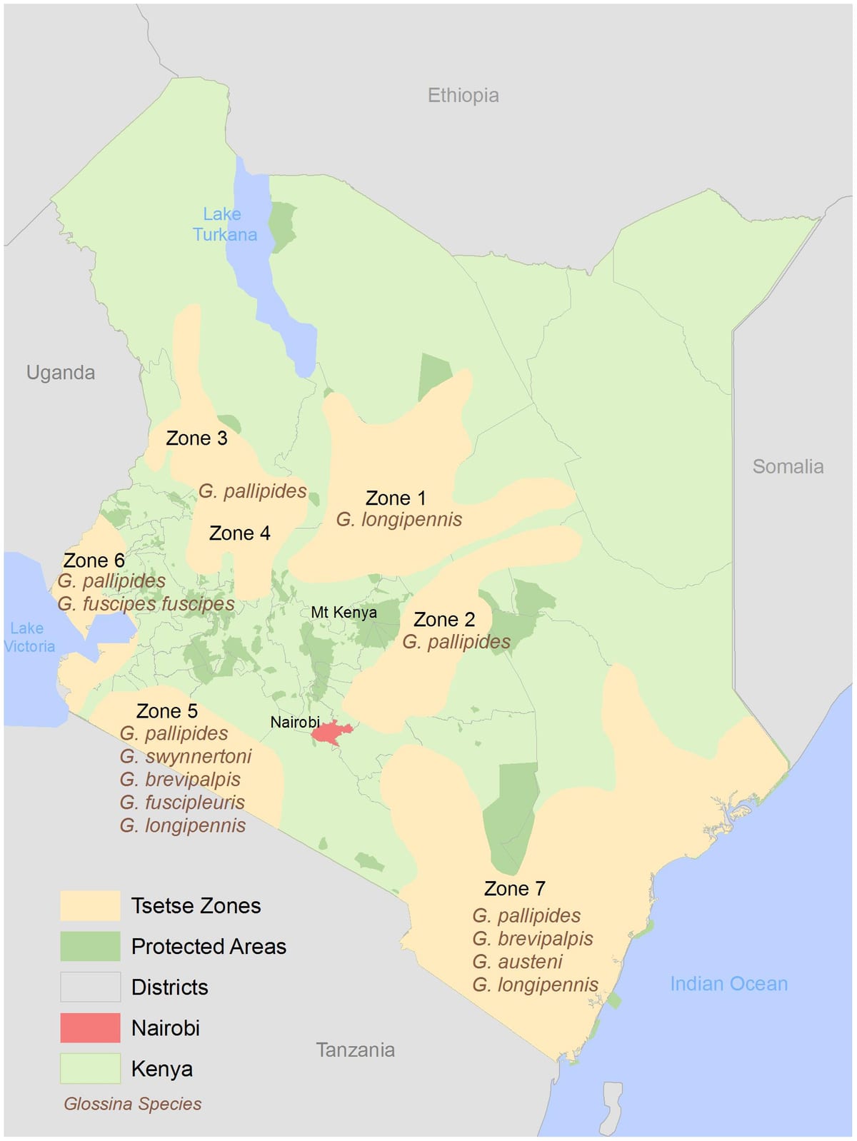Kenia instituut van het onderzoek en de mapping vergoeding