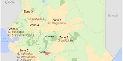Kenya institute of surveying and mapping 2016 inname